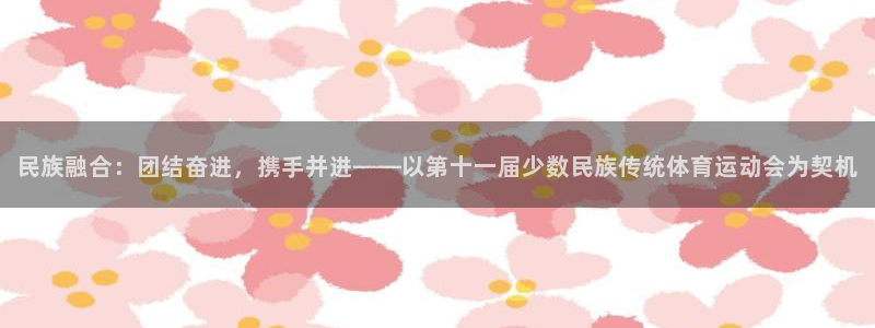 乐球体育赛事直播：民族融合：团结奋进，携手并进——以第十一届少数民族传统体育运动会为契机