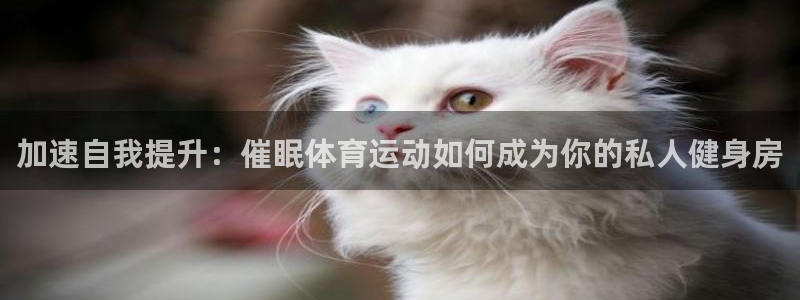 乐球体育直播无插件高清在线观看：加速自我提升：催眠体育运动如何成为你的私人健身房