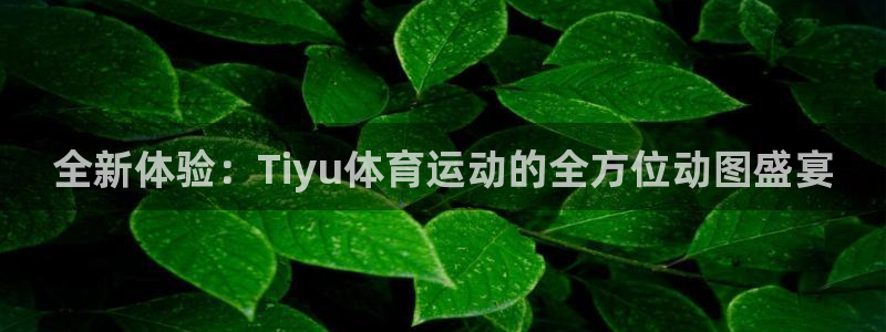 乐球体育回放：全新体验：Tiyu体育运动的全方位动图盛宴