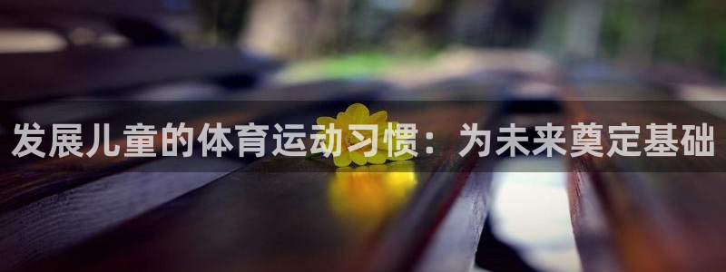 乐球体育免费直播在线观看：发展儿童的体育运动习惯：为未来奠定基础