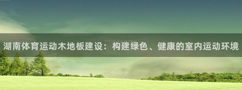 乐球体育小鱼直播在线观看：湖南体育运动木地板建设：构建绿色、健康的室内运动环境