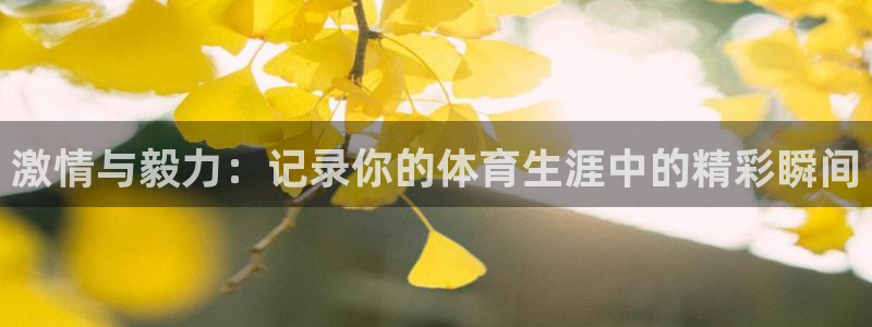 乐球体育小鱼姐：激情与毅力：记录你的体育生涯中的精彩瞬间