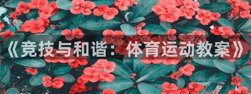 乐球体育火箭对骑土录像：《竞技与和谐：体育运动教案》