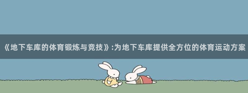 乐球体育直播无插件高清在线观看：《地下车库的体育锻炼与竞技》:为地下车库提供全方位的体育运动方案